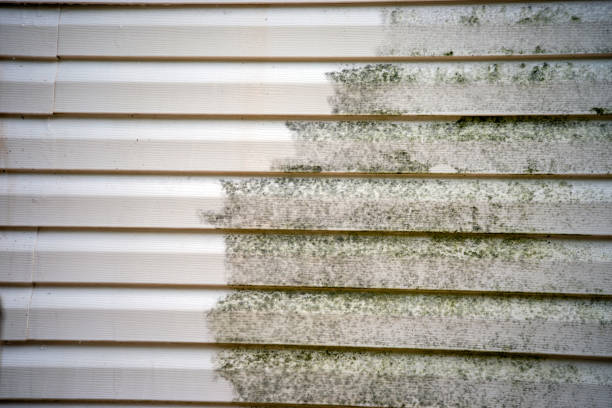 Best Carpet Removal and Disposal  in Morse, LA
